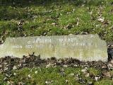 image of grave number 732822
